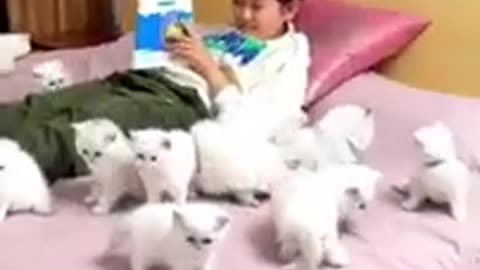 funny Animal Videos 2023 🥰
