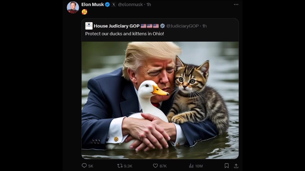 Protect our ducks & kittens in Ohio