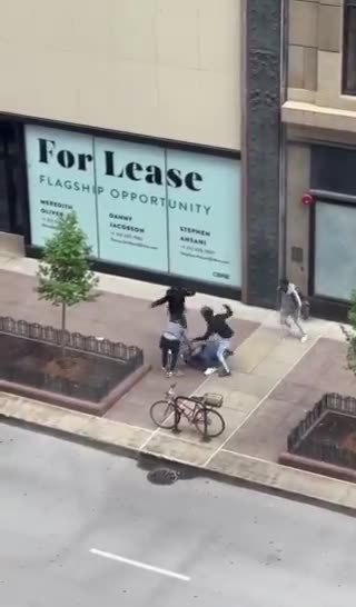 Multiple individuals reported being assaulted randomly by the group on Michigan Avenue