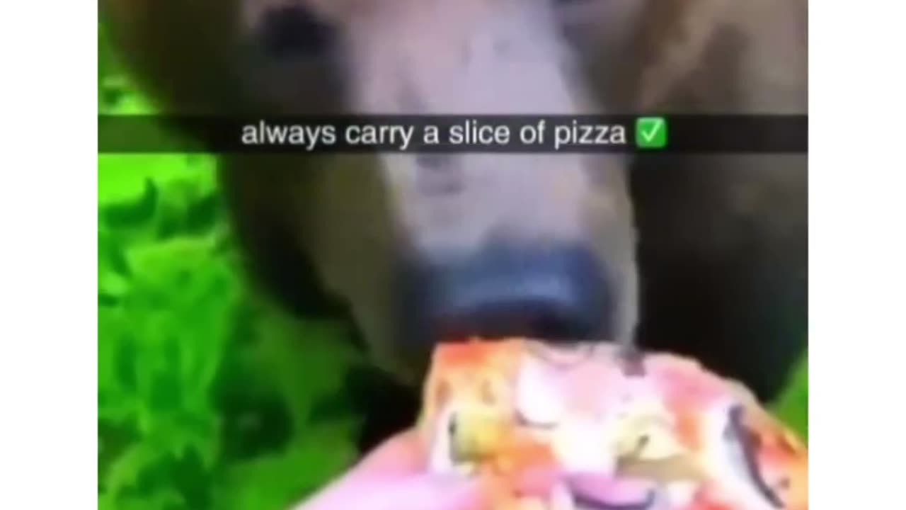 Pizza save his life