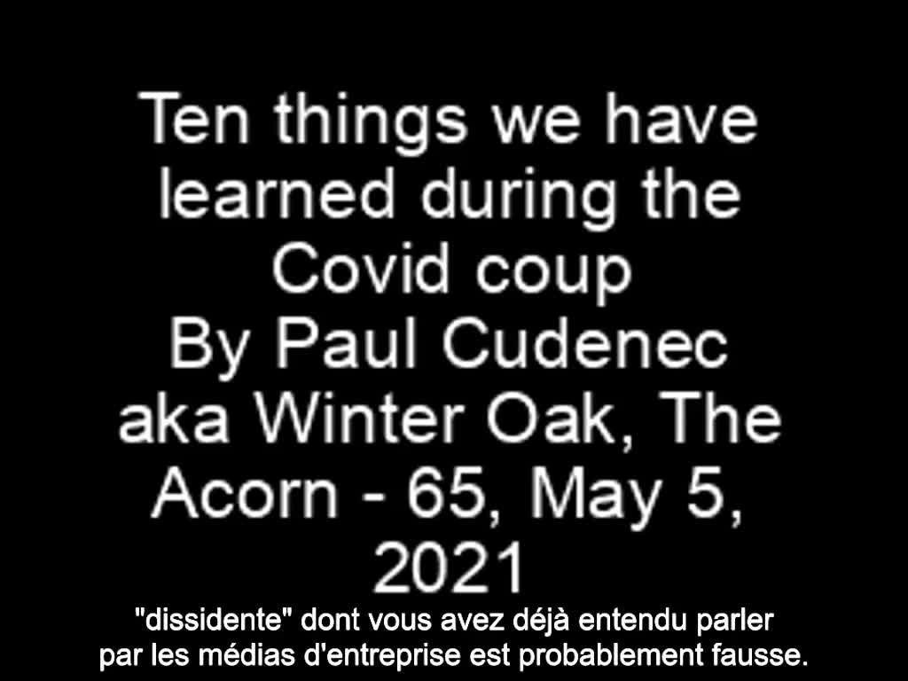 Paul Cudenec alias Winter Oak : Dix choses que nous avons apprises pendant le coup d'État du Covid (VOST)