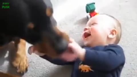 A little baby 😘 playing with his dog 🐕