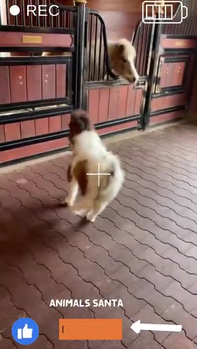 Tell me you like to dance without telling me you like to dance