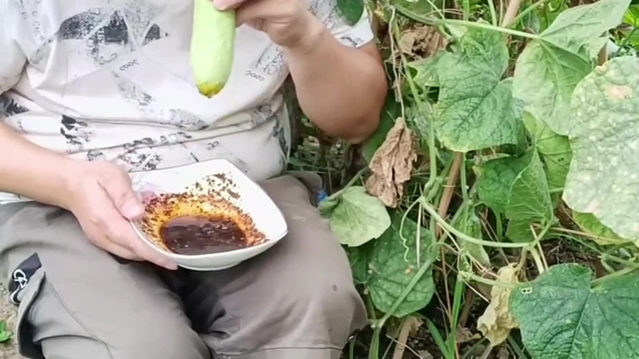 Only funny video only comedy videos 😂