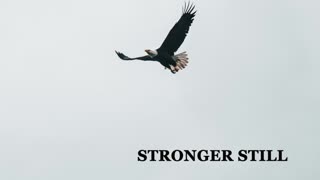 Pray USA, 12/20/22 Stronger Still