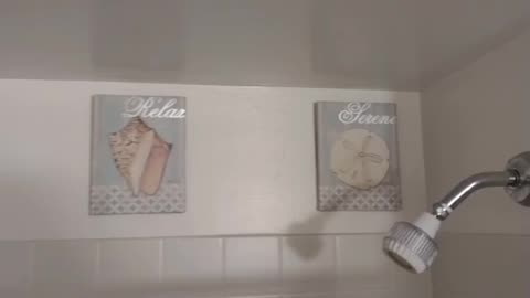 Bathroom Decoration