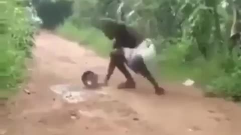 This is a beautiful and charming water-dwelling species