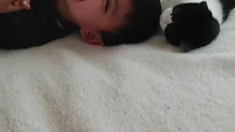 Kid Laughs Uncontrollably as Pet Cat Licks his Head