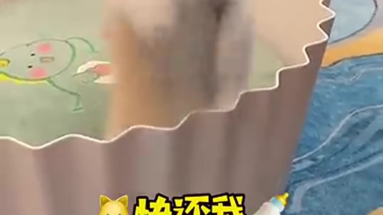Cute and funny Cat