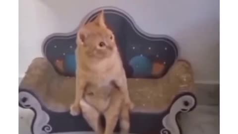 when you are at a friend's house but your friend gets angry with his mother