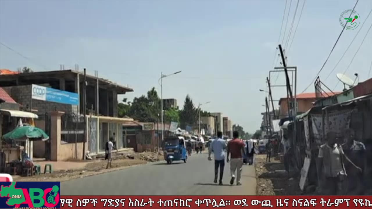 ጥቅምት 23፣ 2024 ONM-ABO እለታዊ የኦሮሞ ነፃነት ሰራዊትና የኦሮሚያ ውሎ!