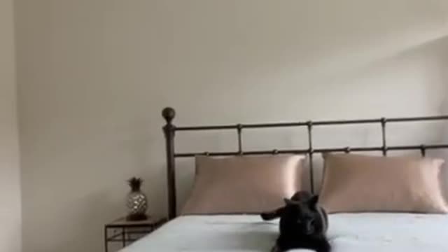 ME WHEN I CANβT FIND MY PHONE πππ