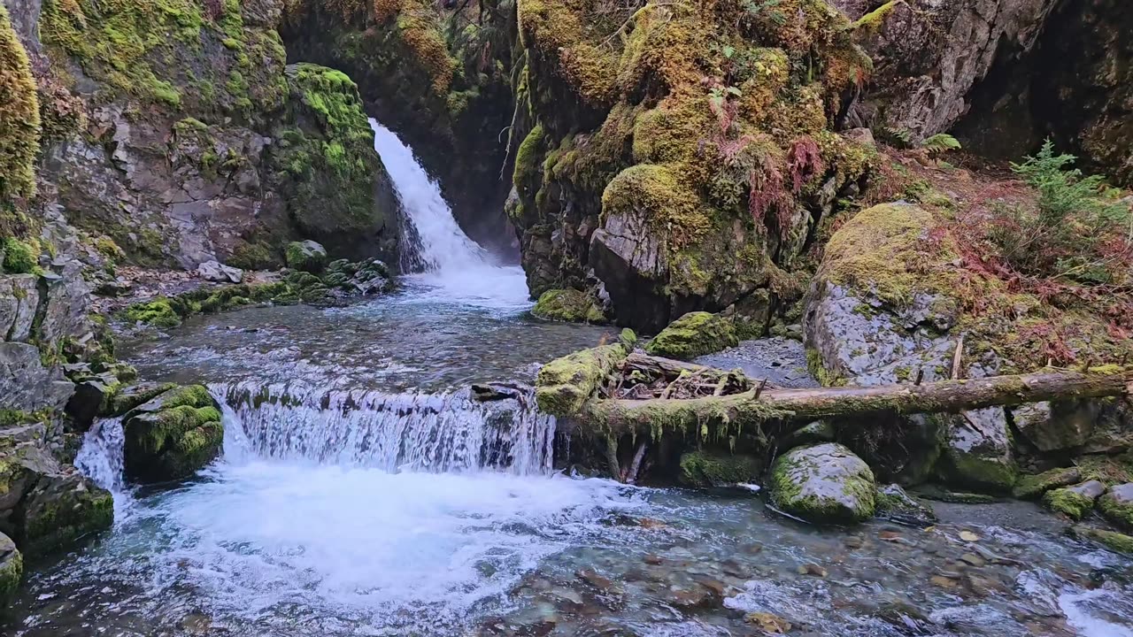 Whittier to Virgin Creek Falls, Alaska