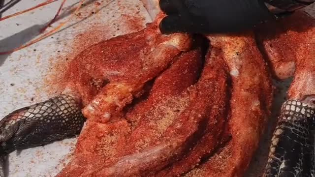 Smoked Reaper Gator #gator #alligator #bbqtiktok #bbqfood #viral