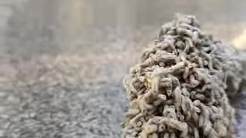 There Are Lots Of Maggots In The Water🤬
