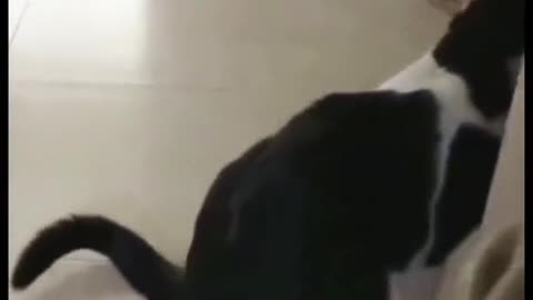 Приколи
