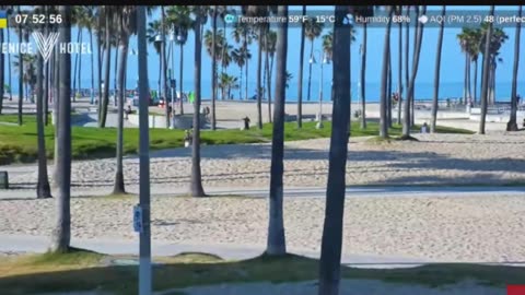LIVE CAM 24/7 VENICE BEACH CALIFORNIA ! THE BEACH LIFE !!!