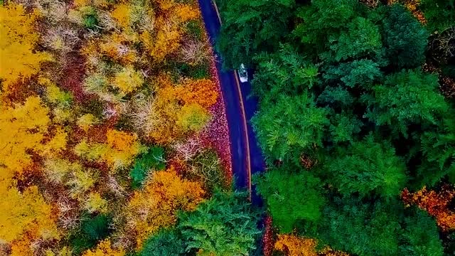 Road in the bird view