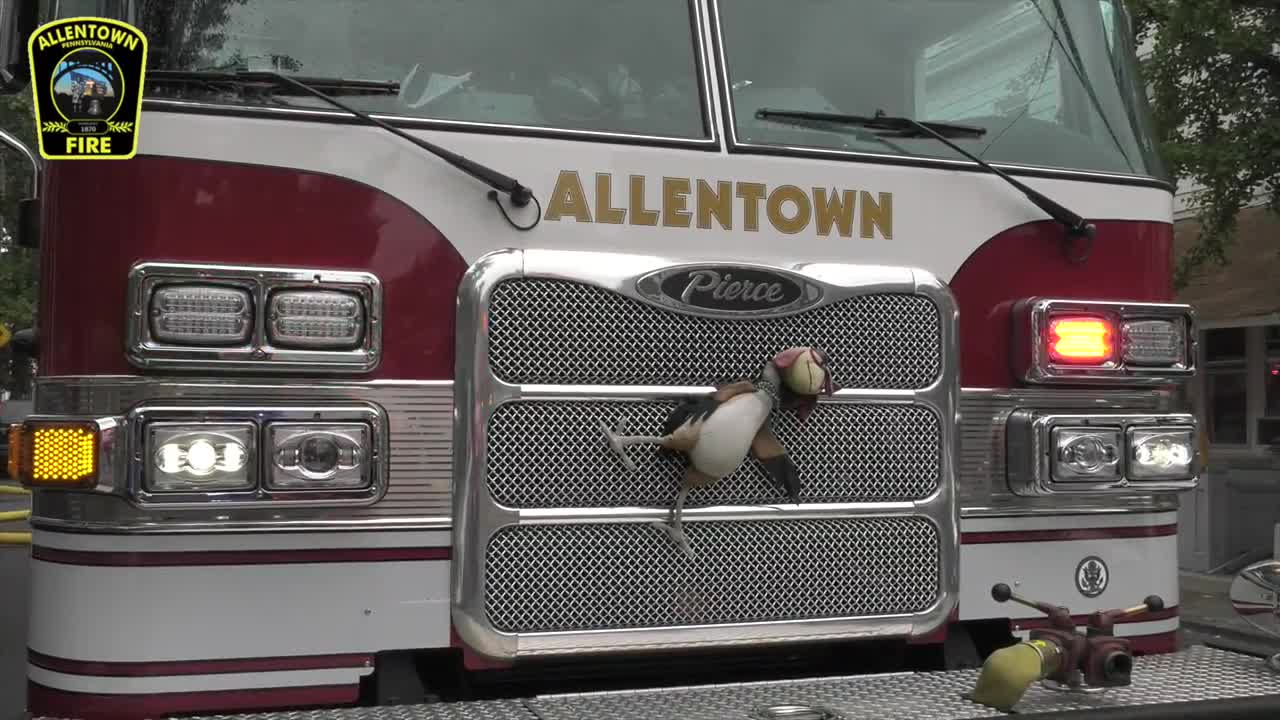 ALL HANDS OPERATE AT THIS HOUSE FIRE IN ALLENTOWN, PA.