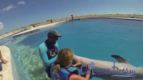 Dolphin Encounter - Punta Cana Tours_Cut