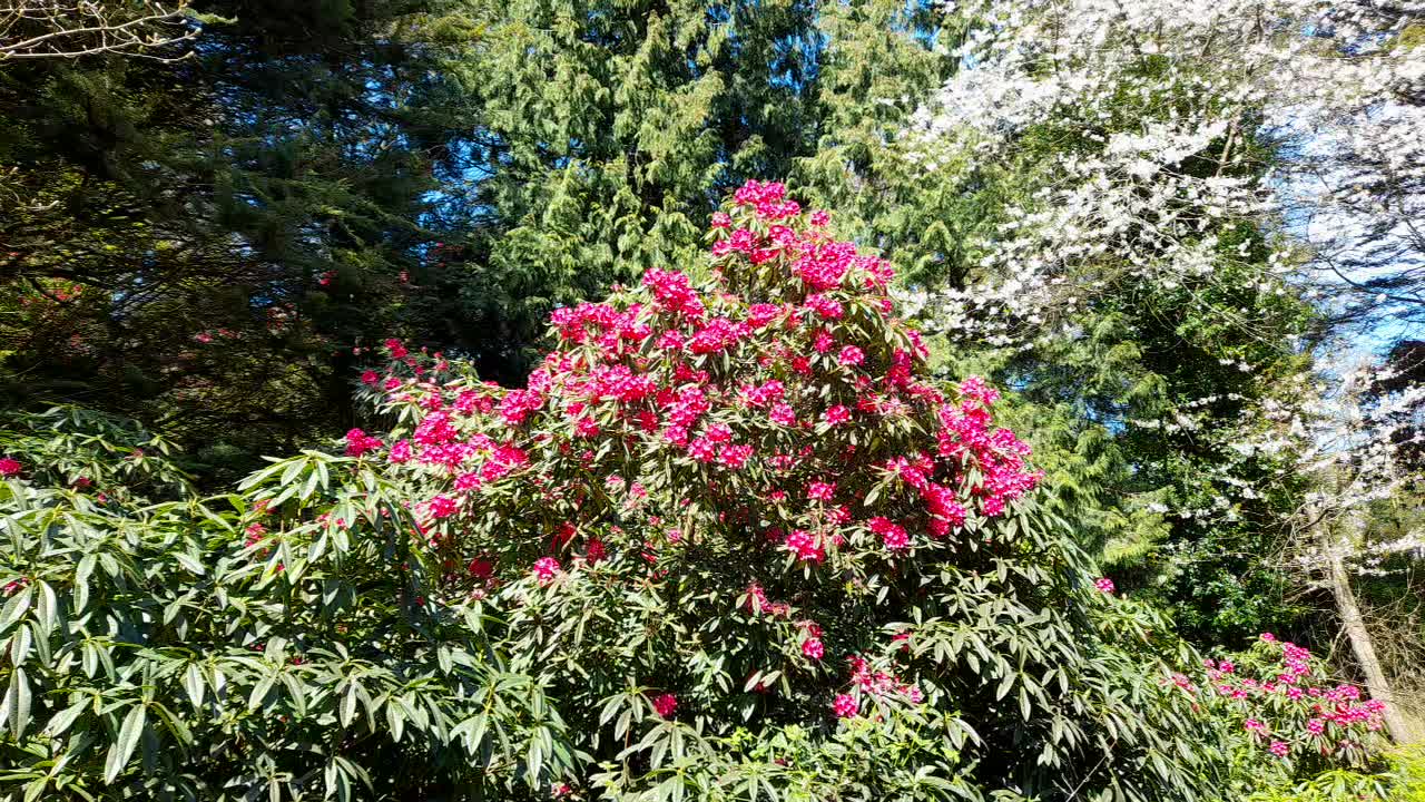 Nature is blooming