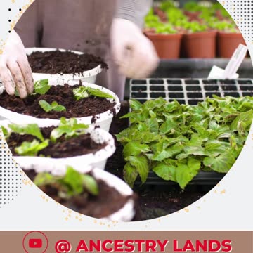 Give Dad the Ultimate Legacy: Land Ownership near Los Angeles this Father's Day! - Ancestry Lands