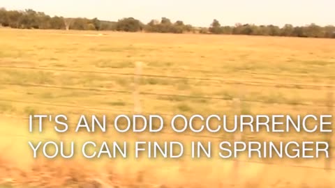 The Bizarre Gravity Hill Phenomenon in Oklahoma