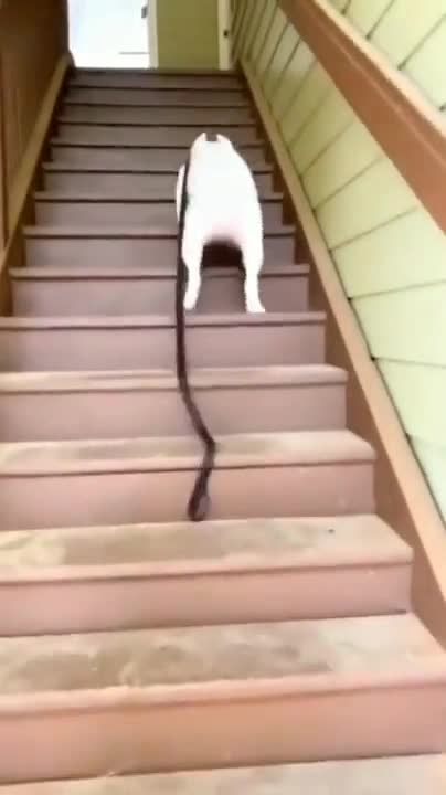 That's one way of doing it