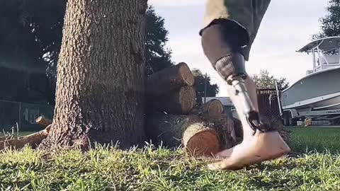 day 33 of kicking trees till i get shins of steel