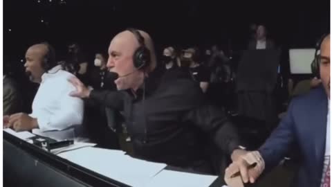 The rock isn’t loyal