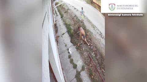 Így szerez pénzt a visszaeső szóváltó Lajosmizsén