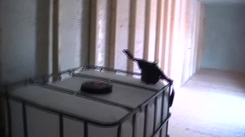The Off Grid Project 45 Back to Work