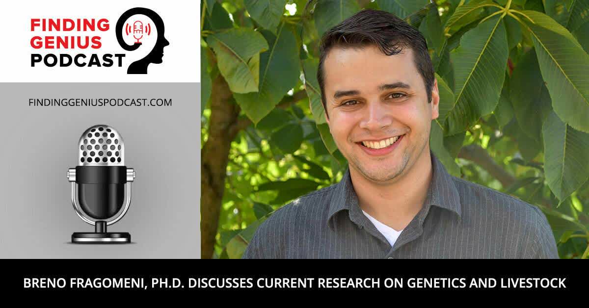 Breno Fragomeni, Ph.D. Discusses Current Research on Genetics and Livestock