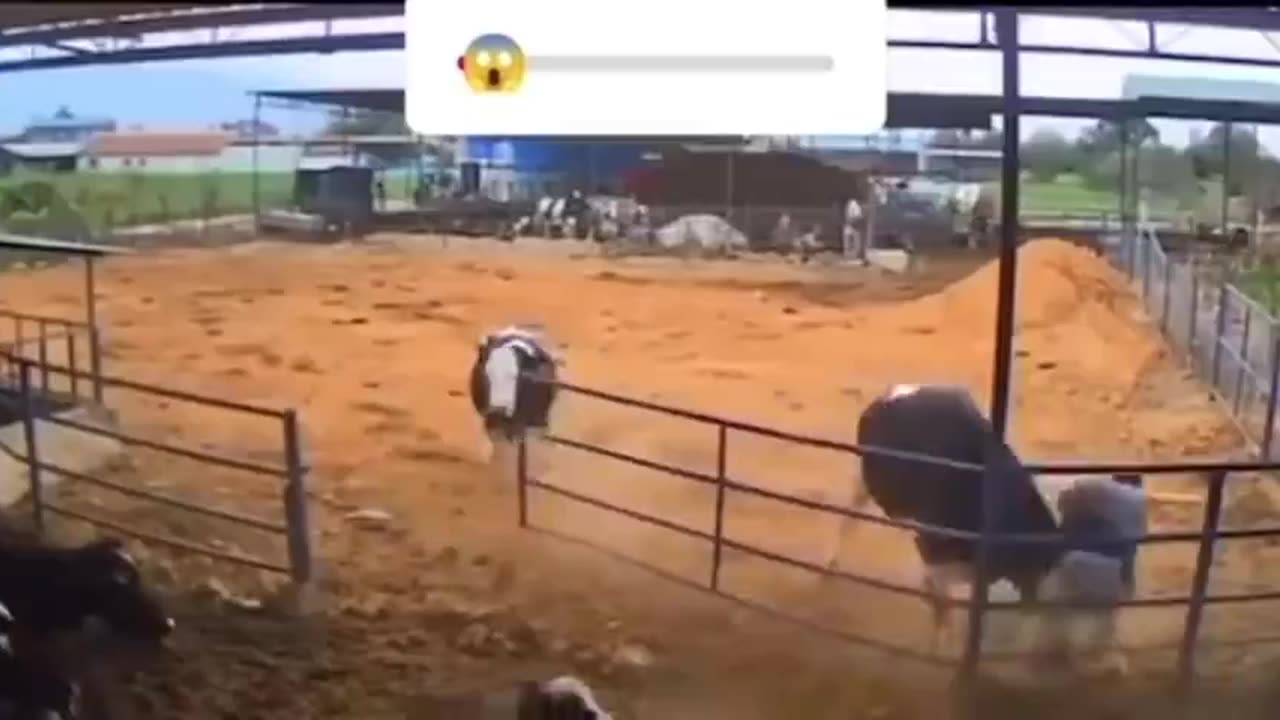 This dude got a bum steer!