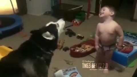 Dog & child Fun