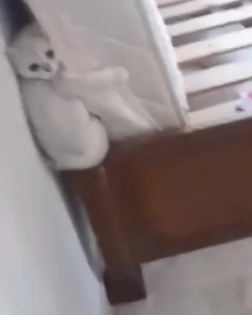 Meeting the most dangerous enemy in life😂