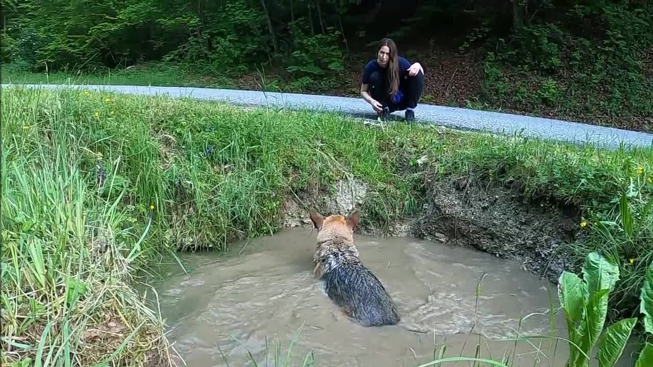 Woman Playing with Her Dog3