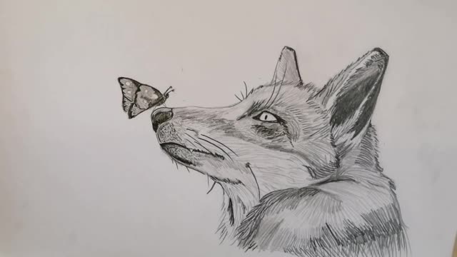 Just a little Fox