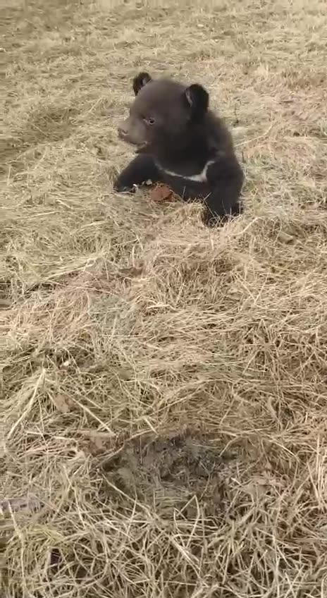 Hope someone looks after this little guy 😔