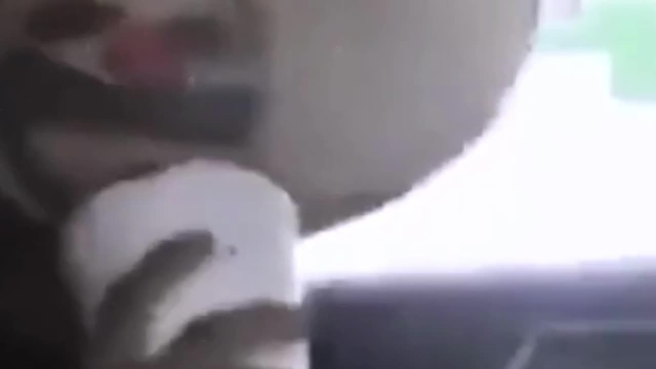 You Think Killer Clowns Don't Exist?