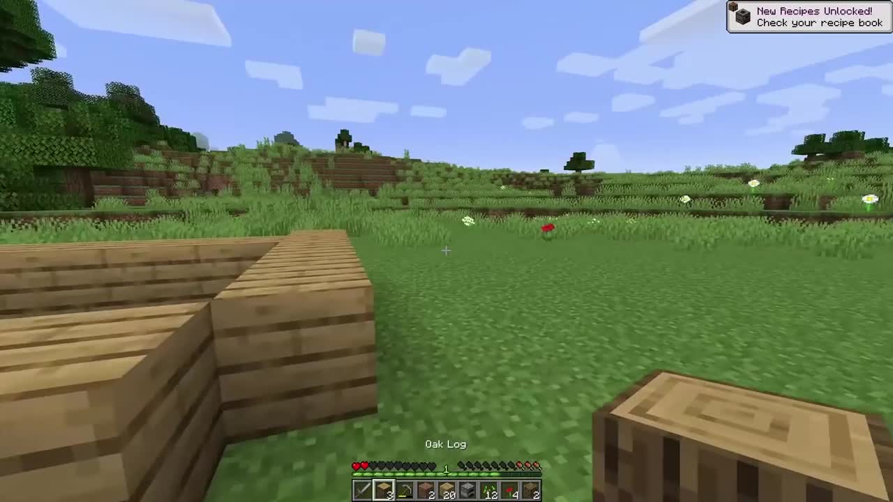ULTIMATE MINECRAFT STARTER GUIDE! Learn Everything 2019 Tutorial