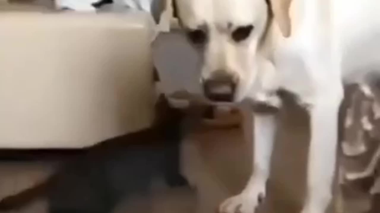 😆😆