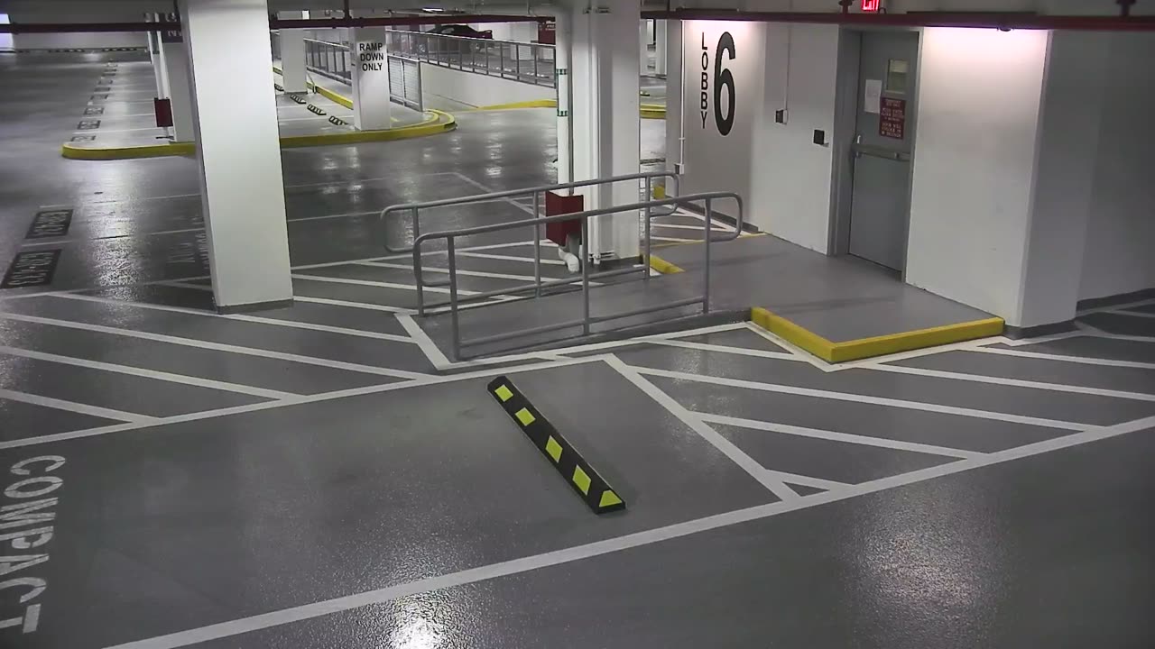 6082RHOBG3G306ANorthLobby_2021-01-05_04h20min00s273ms.mp4