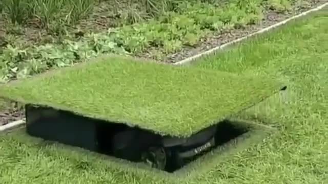 robotic lawnmower