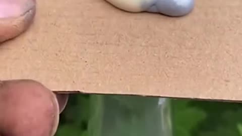 Oddly satisfying video