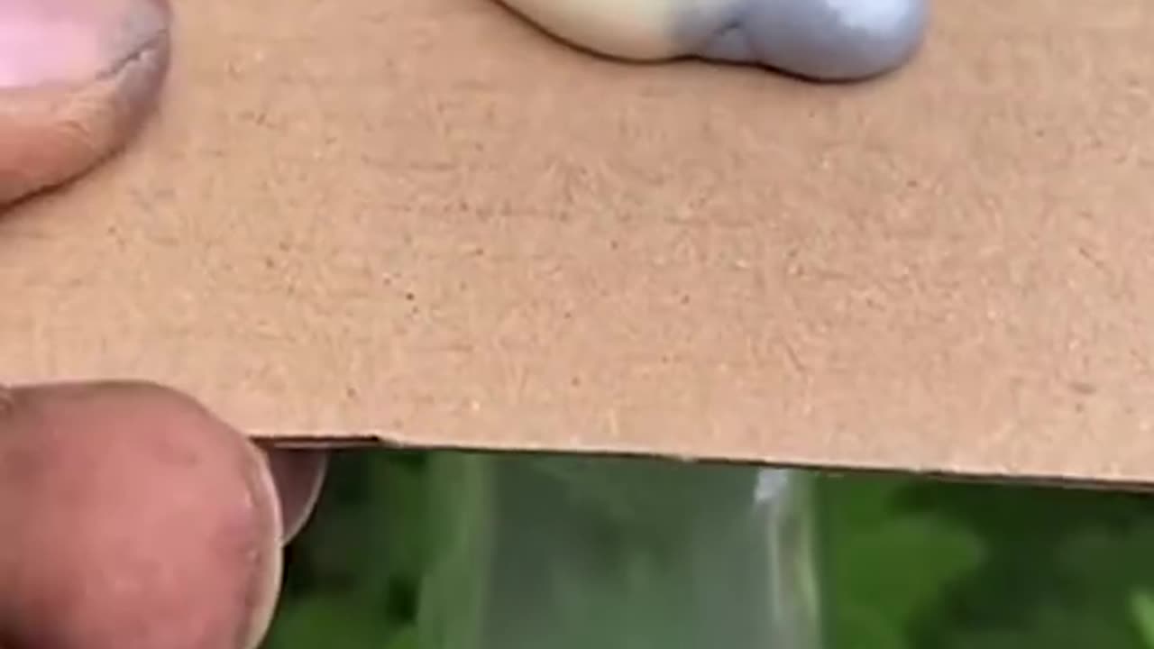 Oddly satisfying video