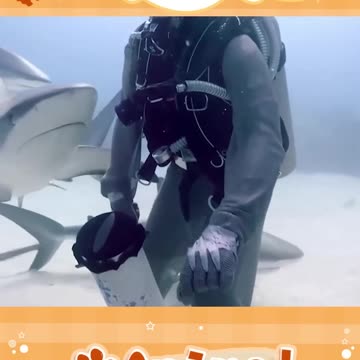 Man Opened Sharks' Mouth, Then The Incredible Happ..