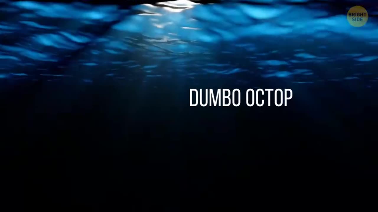 Terrifying Sea Creatures That Will Give You Nightmares