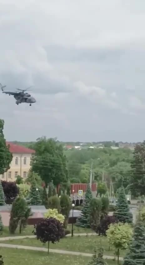 "What is it? Something terrible is happening"