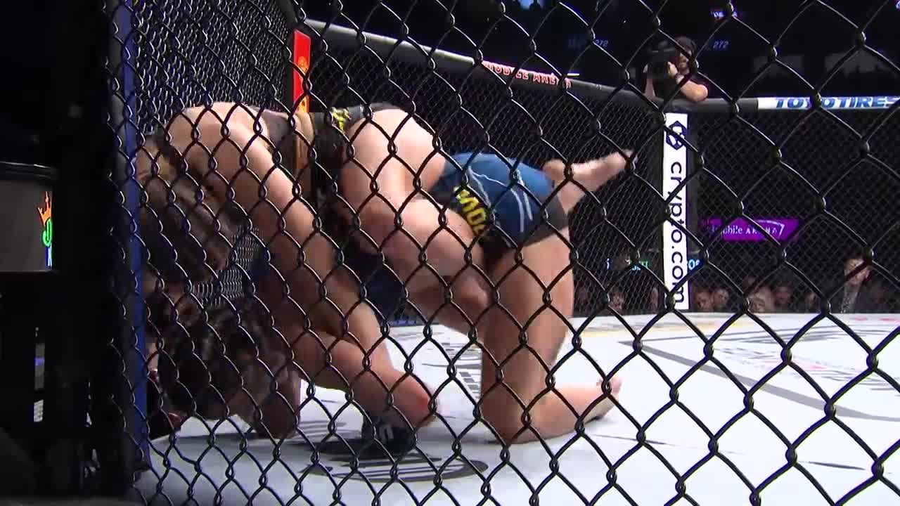 Top Finishes _ UFC Vegas 65